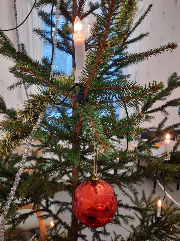 Julgran